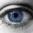 Foto di Lidia Buccianti