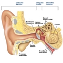 Foto di Pranoterapia