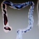 Foto di dottsamerendino