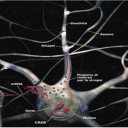 Foto di riccardosimoni