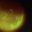 Foto di Dott.ssa Carolina Sellitto (Fertilità)