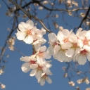 Foto di Serena1mente