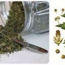 DALLA NATURA I RIMEDI PER LA PIROSI GASTRICA