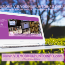 Foto di AssociazioneVulvodiniaPuntoInfoONLUS