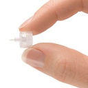 Foto di Matteo Marcelli