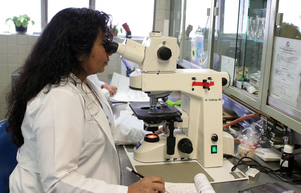 laboratory-g781615c85_1920